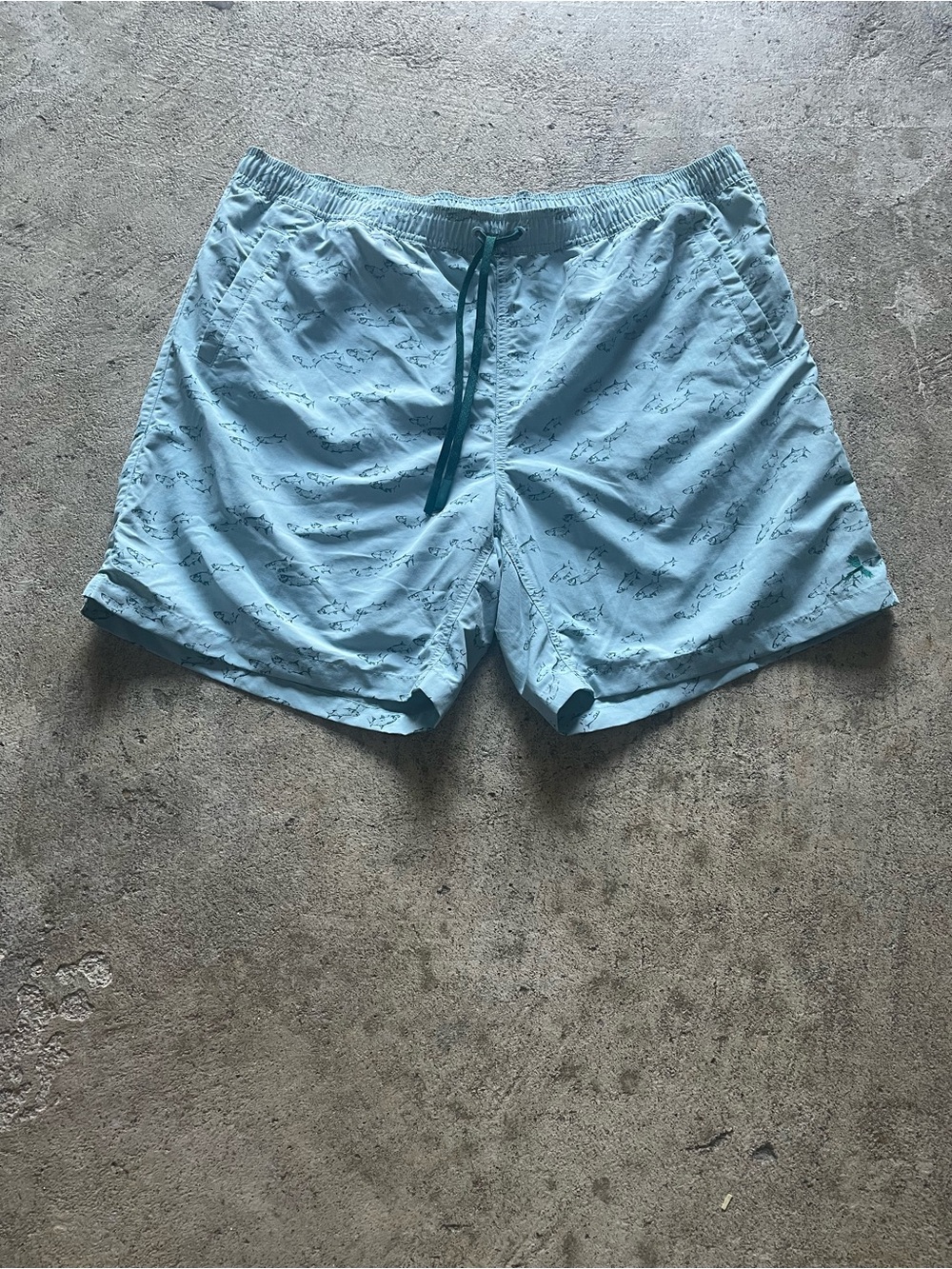 Orvis Light Blue Printed Swim Trunks